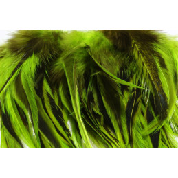 BADGER SADDLE HACKLE 5-7"...