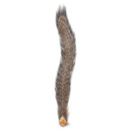 SQUIRREL TAIL WAPSI NATURAL...