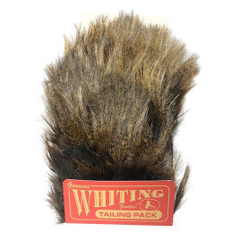 COQ DE LEON PACK WHITING